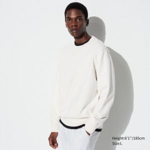 UNIQLO Sweatshirt Off White | LBUAODF-10