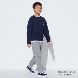 UNIQLO Ultra Stretch Dry Joggers Gray | CYRXEQB-96